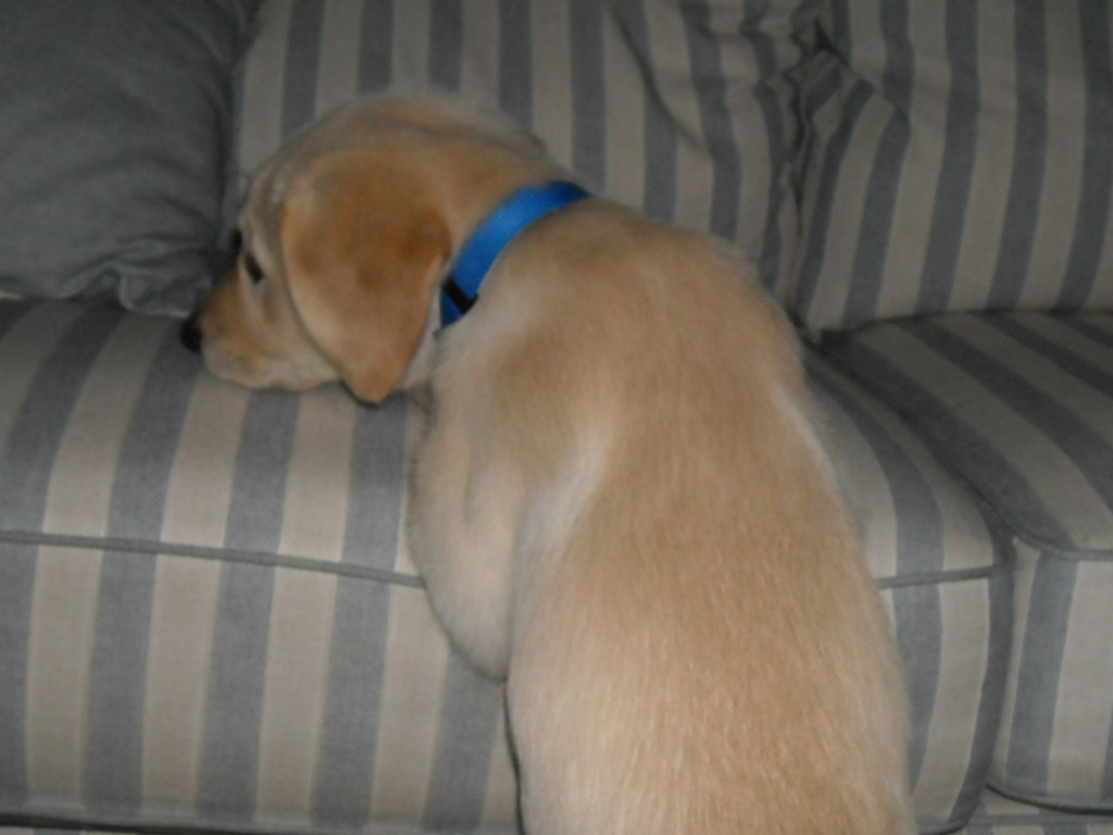 And climbed where he shouldn't have.