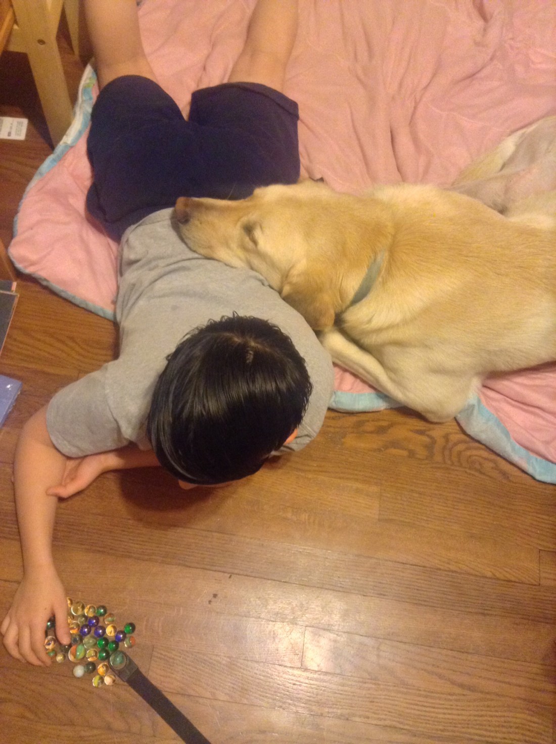 Friendship, love, trust, comfort.